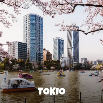 Japón Nosotras en Tokio - Tokio