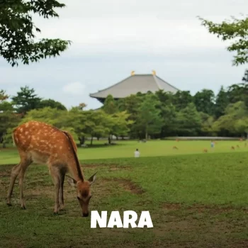 Japón Nosotras en Tokio - NARA