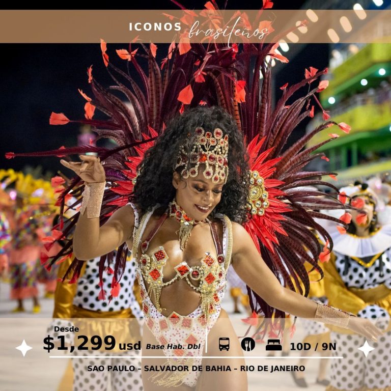 banner iconos brasileños